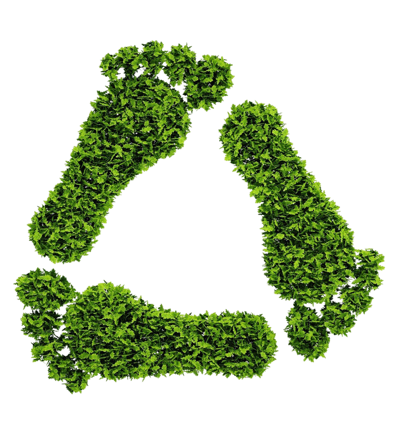 recycle-step