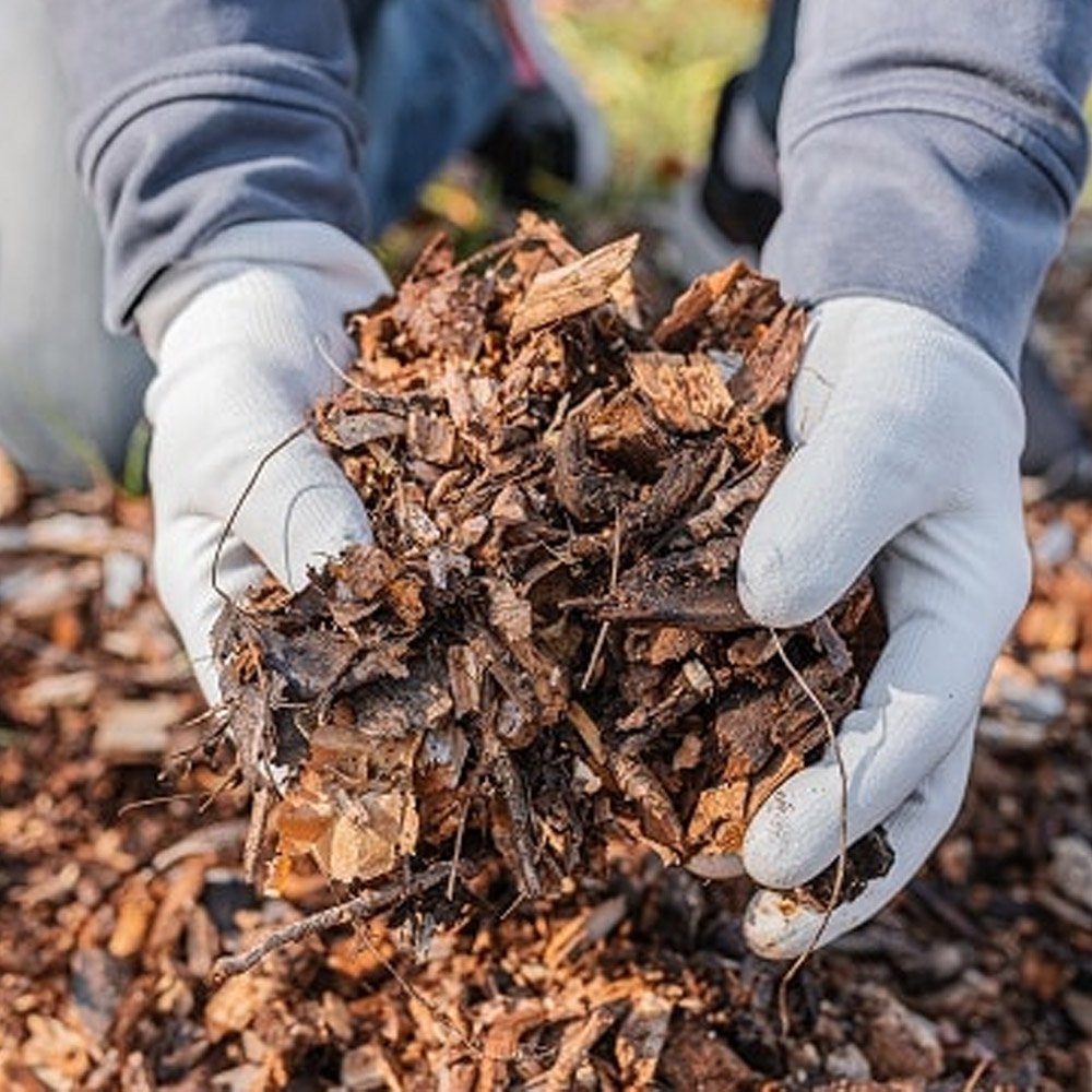 Agriwaste