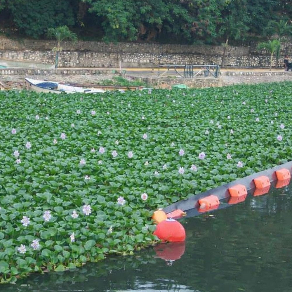 Water-Hyacinth-Solutions